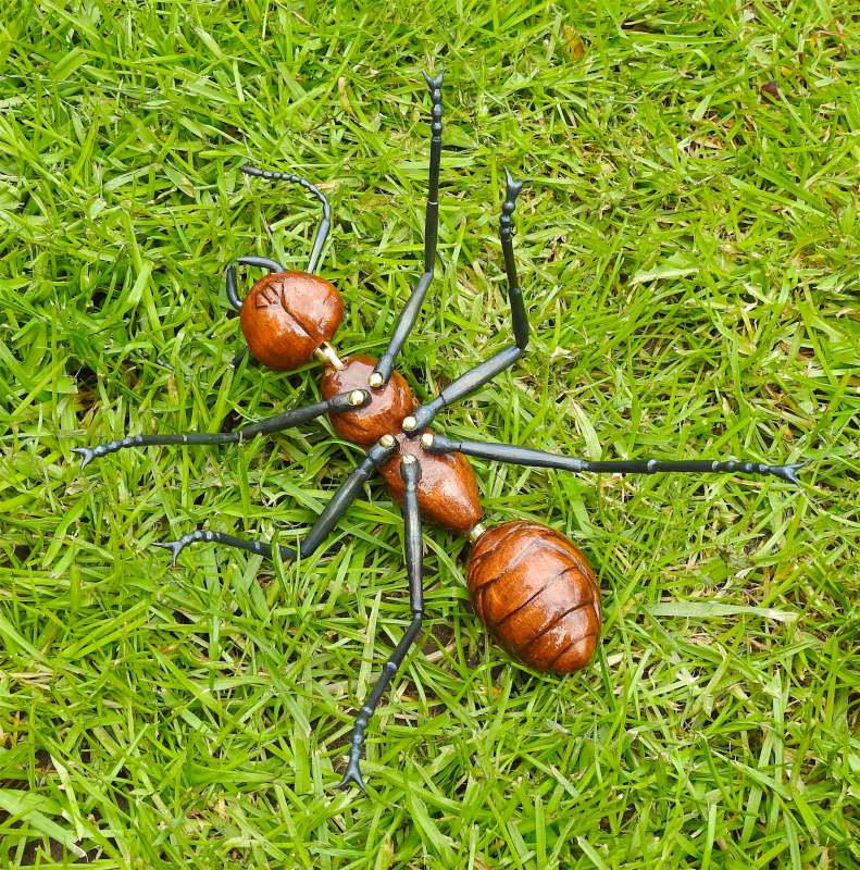 Ant